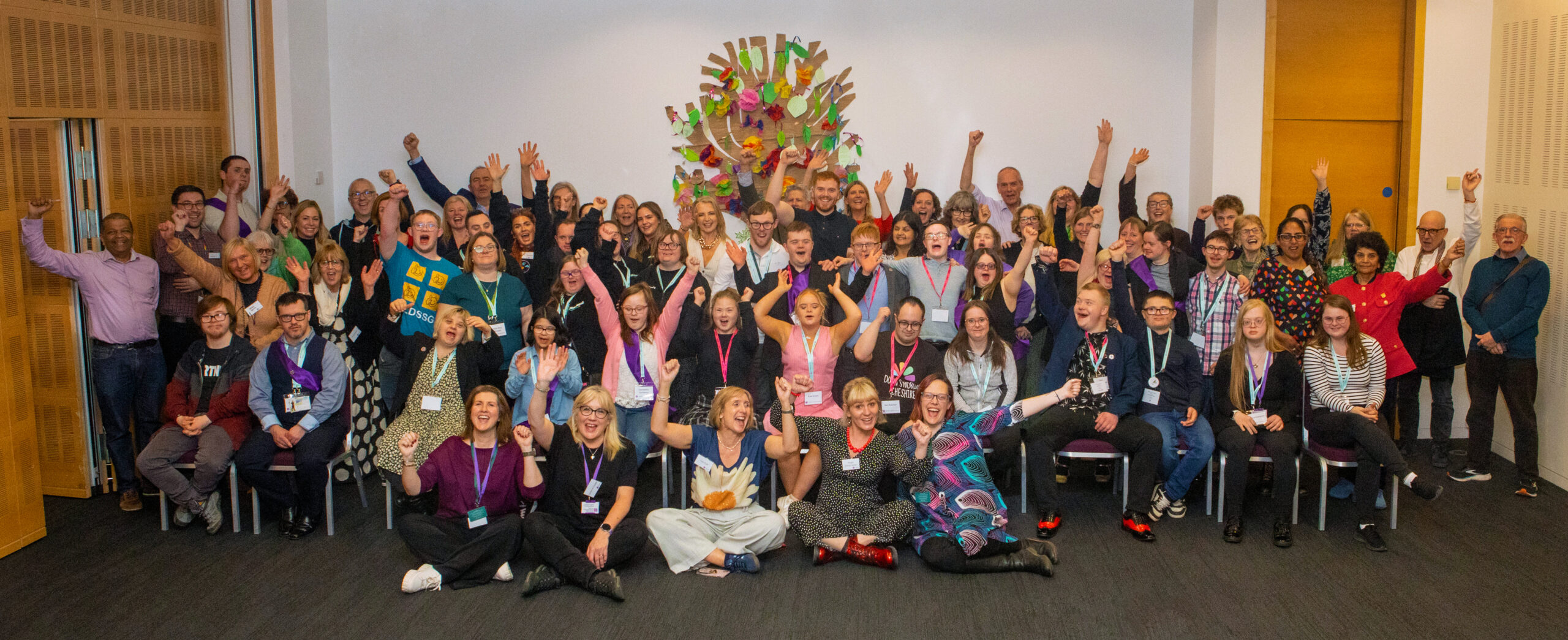 Read more about the article National Down Syndrome Advisory Group Summit